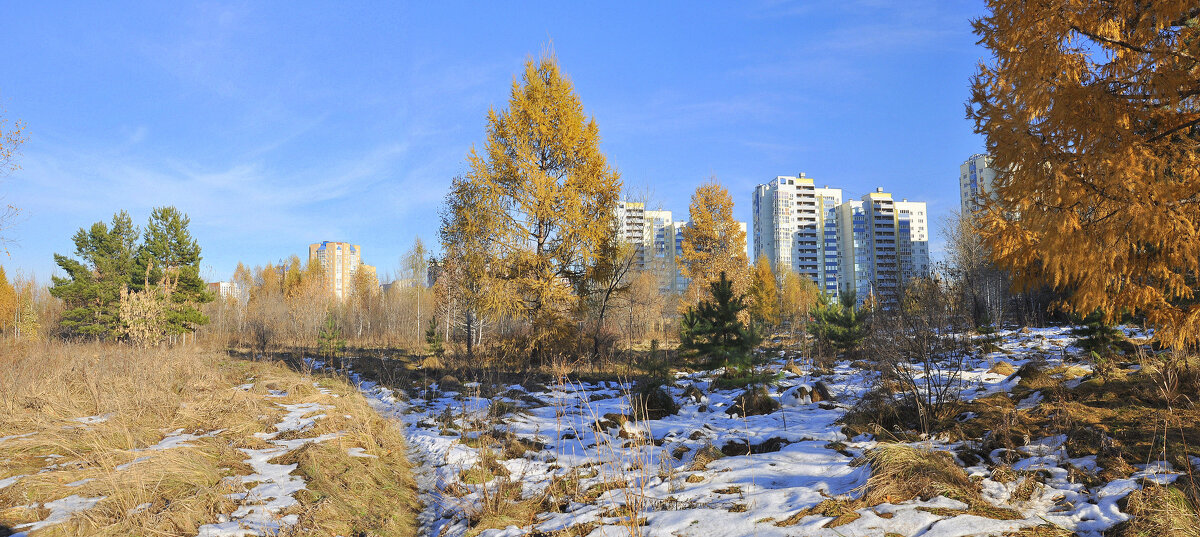 Первый снег в городе - Анатолий Анищик