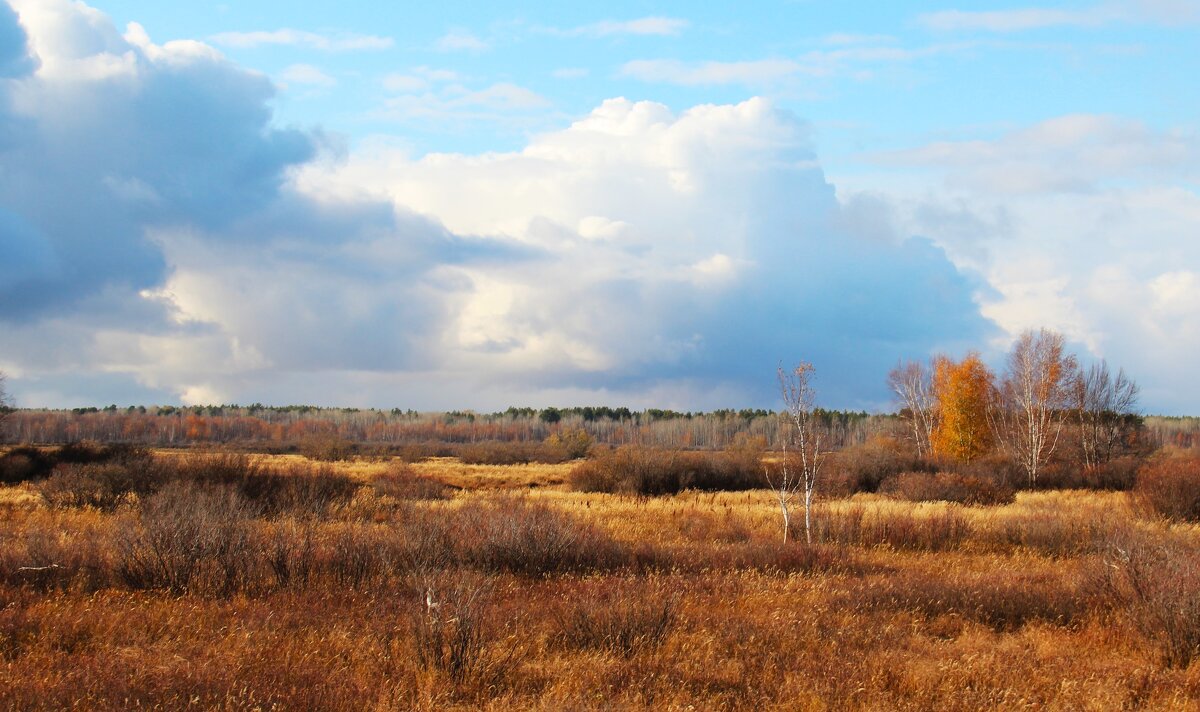 Даль - Сергей Никифоров