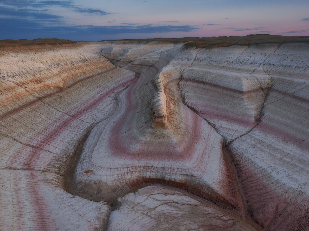 Автопортрет в полный рост - Дмитрий Шишкин