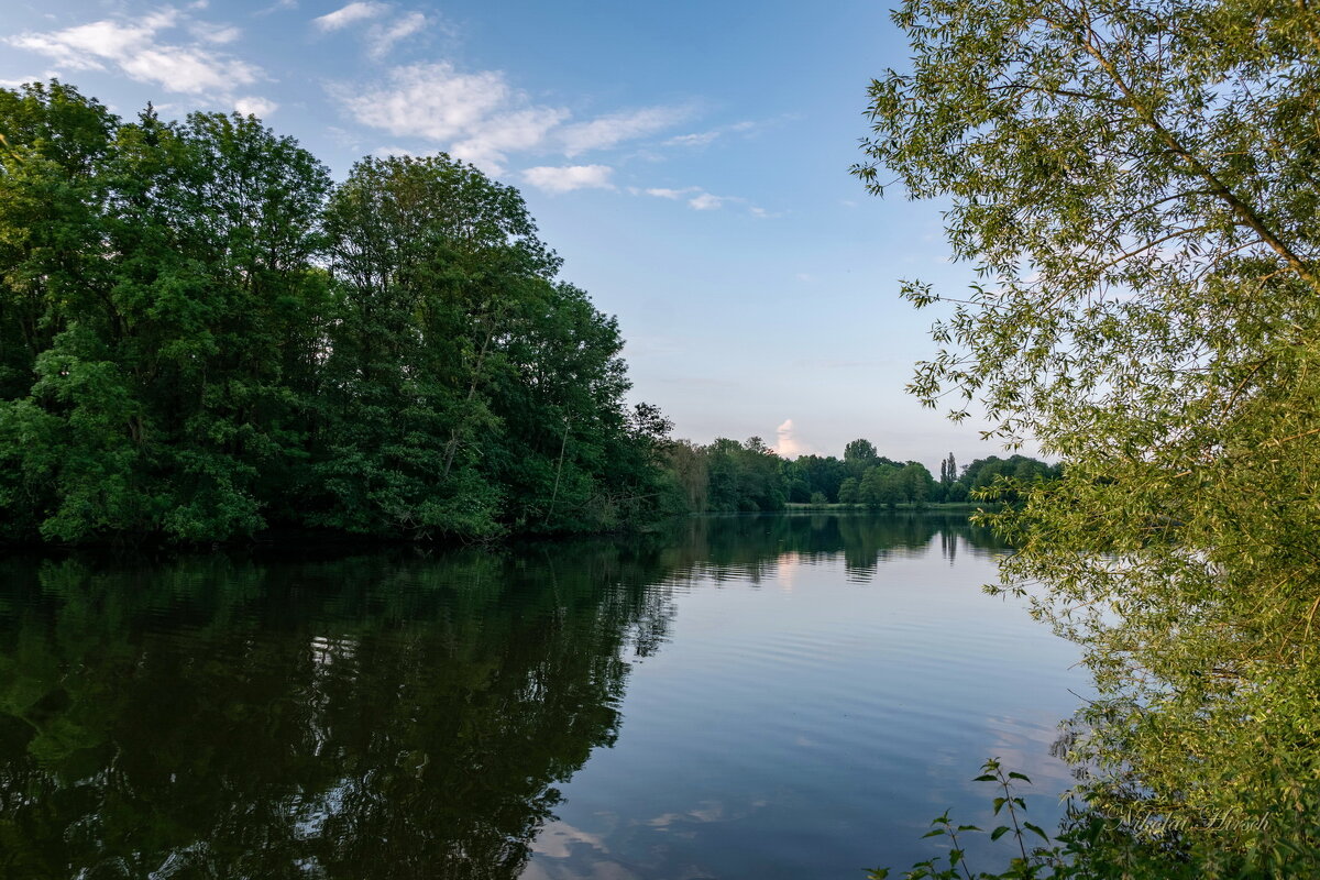 *** - Николай Гирш *** - Николай Гирш