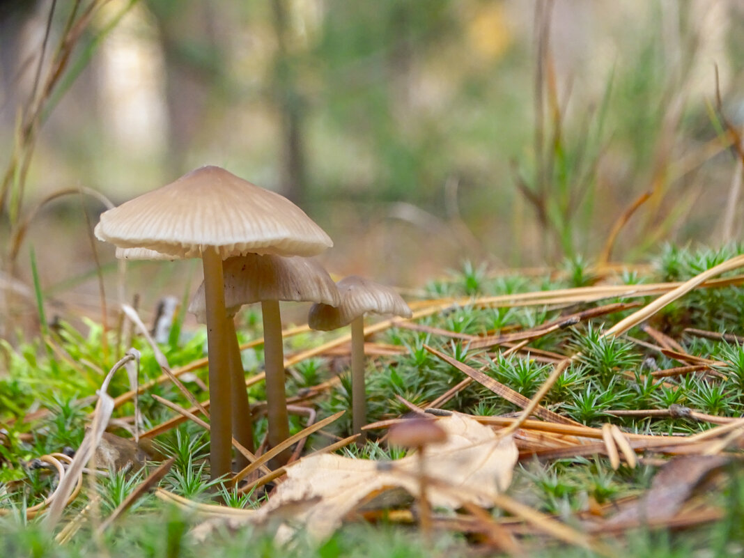 - - Татьяна Венцель