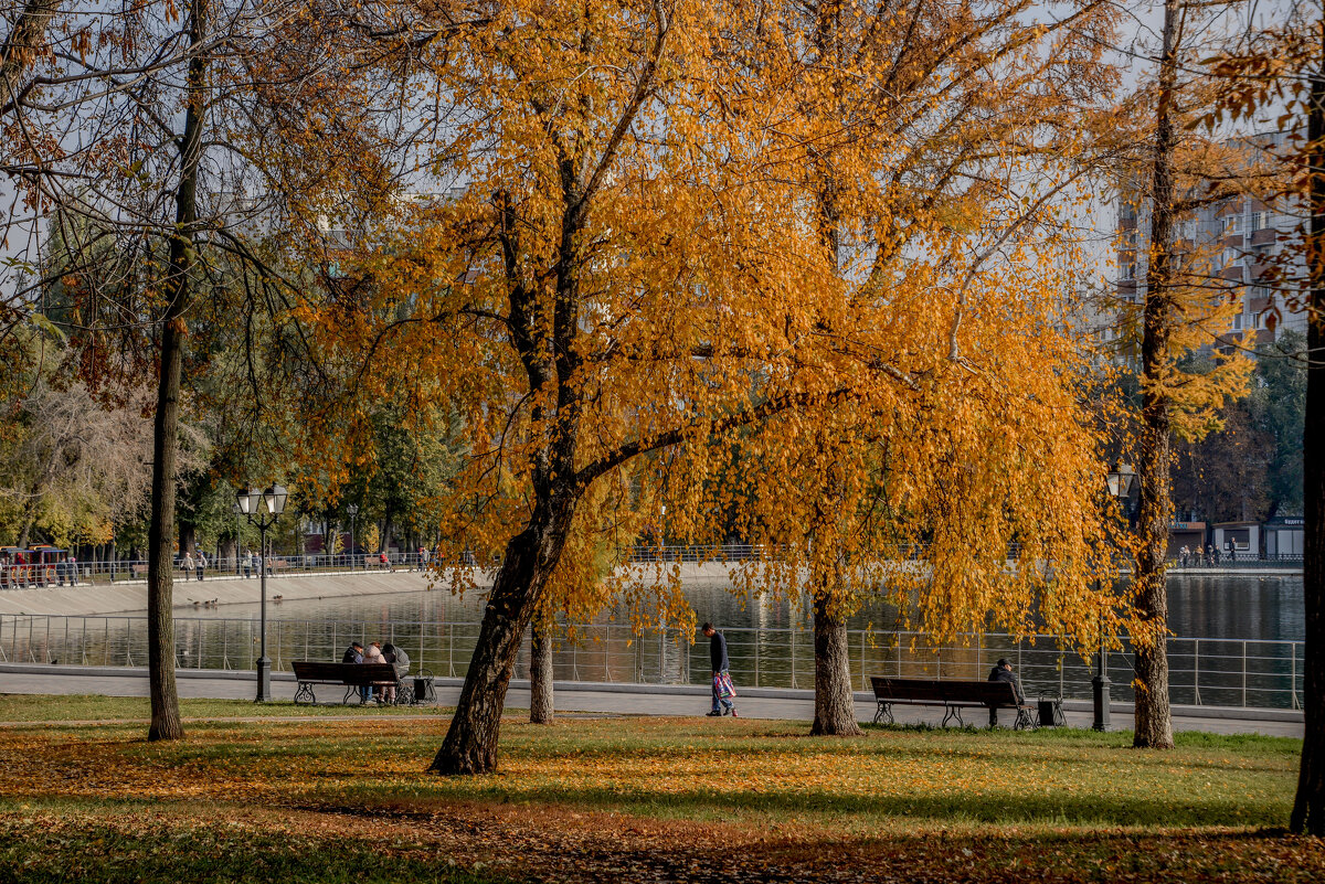 Осень в Самаре.. - Евгений 