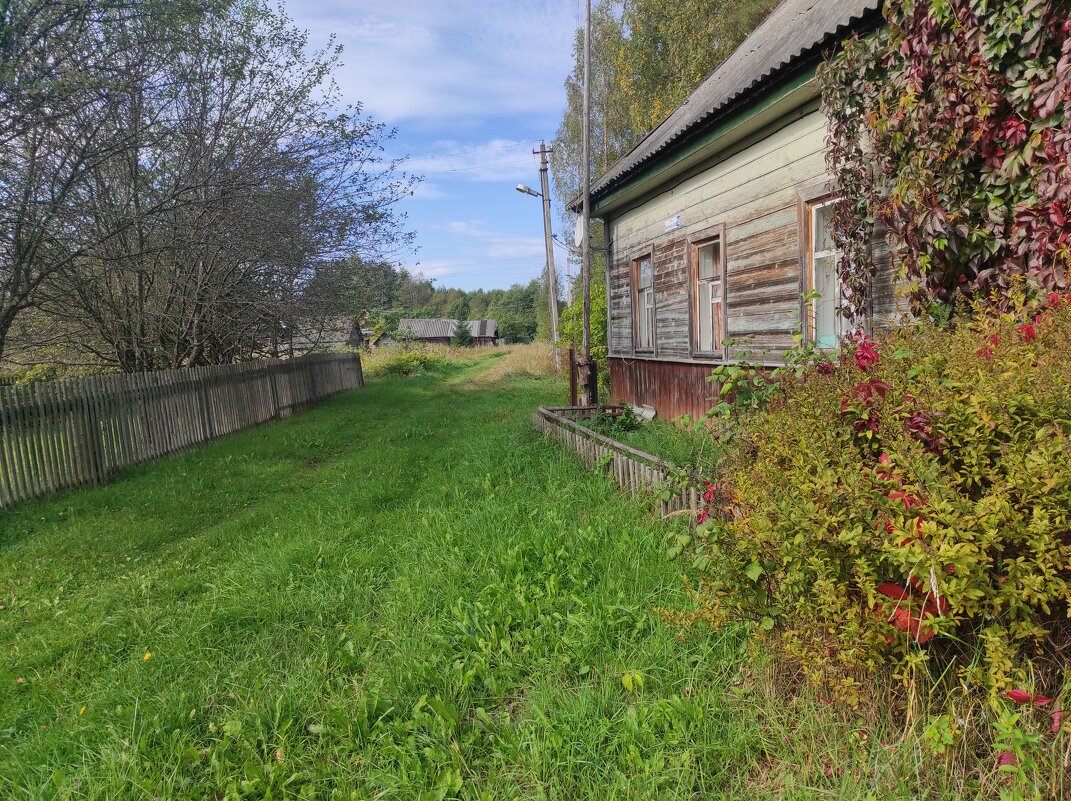 Деревенская улица - Игорь Ч.