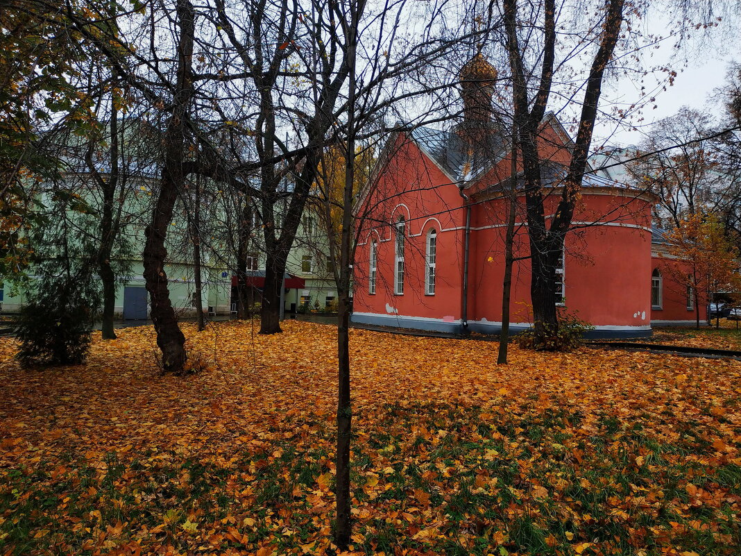 Тоже нужная вещь в больнице - Андрей Лукьянов