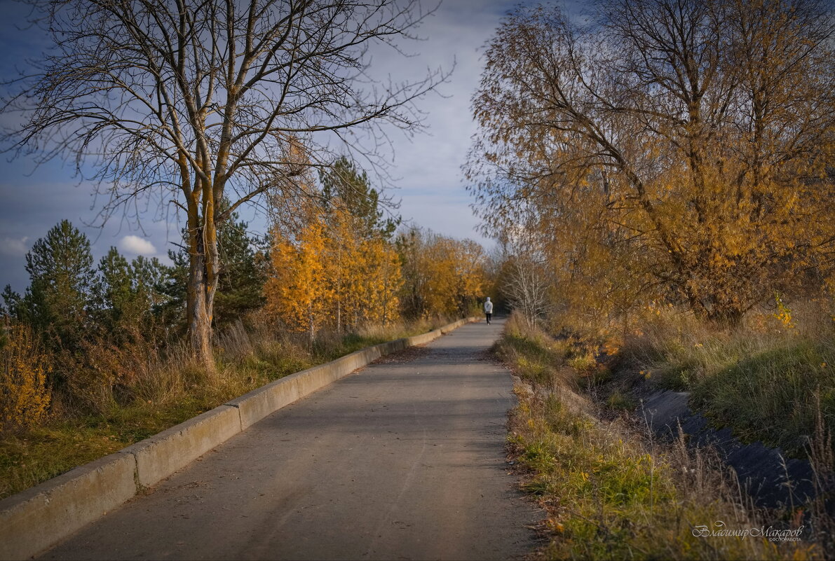 "В октябре у рощи до дождей"© - Владимир Макаров