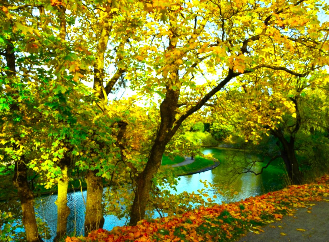 Пруд Шнелли в октябре - Aida10 