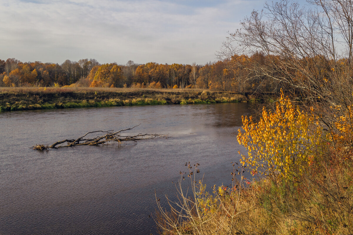 Клязьма осенью - Сергей Цветков