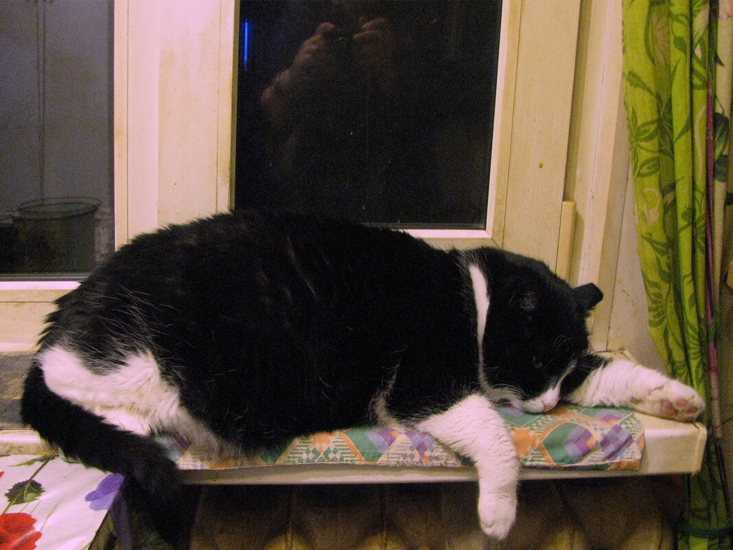 После ужина - Людмила Смородинская