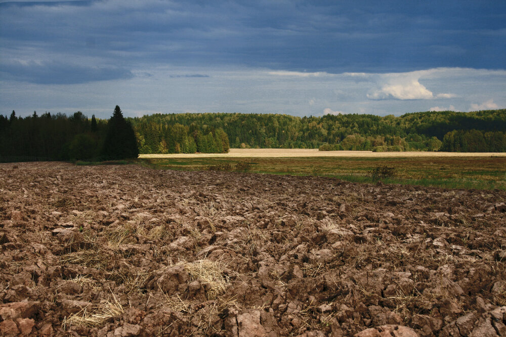 Картины осени - Галина Ильясова Картины осени - Галина Ильясова