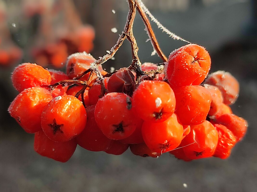 Утром туман - Валентина Богатко Утром туман - Валентина Богатко