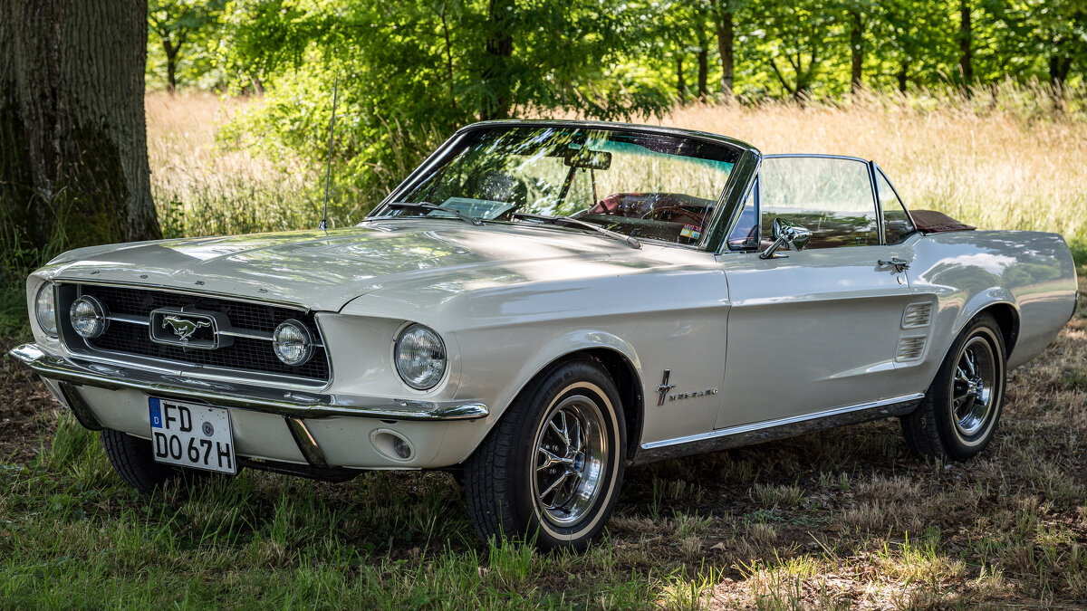 Ford Mustang 1967 - Олег Зак