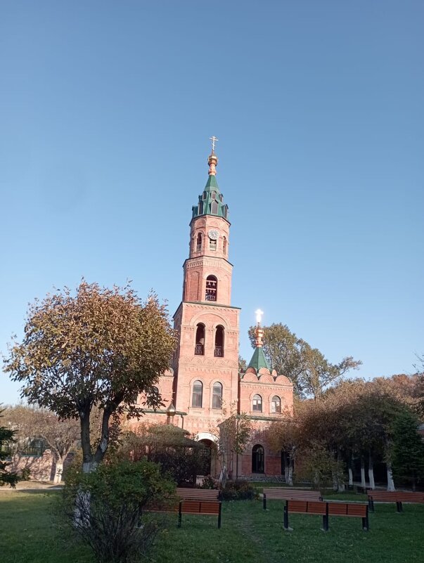 ***** - Елена Семигина