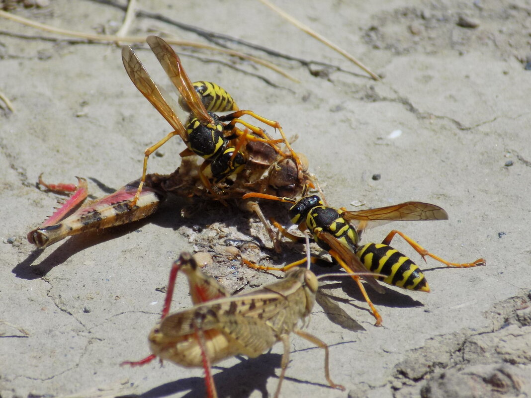 Не маячь на заднем плане- самим мало... - Константин Штарк
