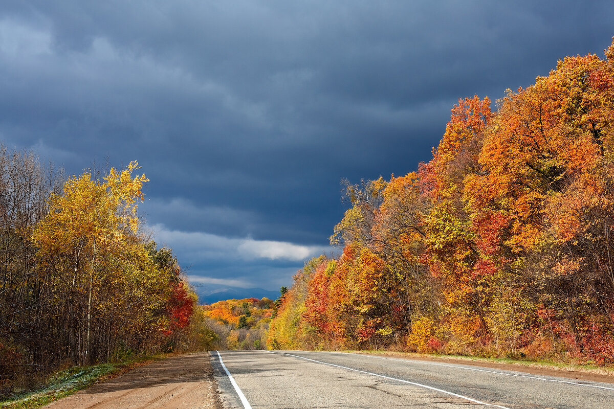 дорога в осень - ЕВГЕНИЯ БОРИСЕНКО дорога в осень - ЕВГЕНИЯ БОРИСЕНКО
