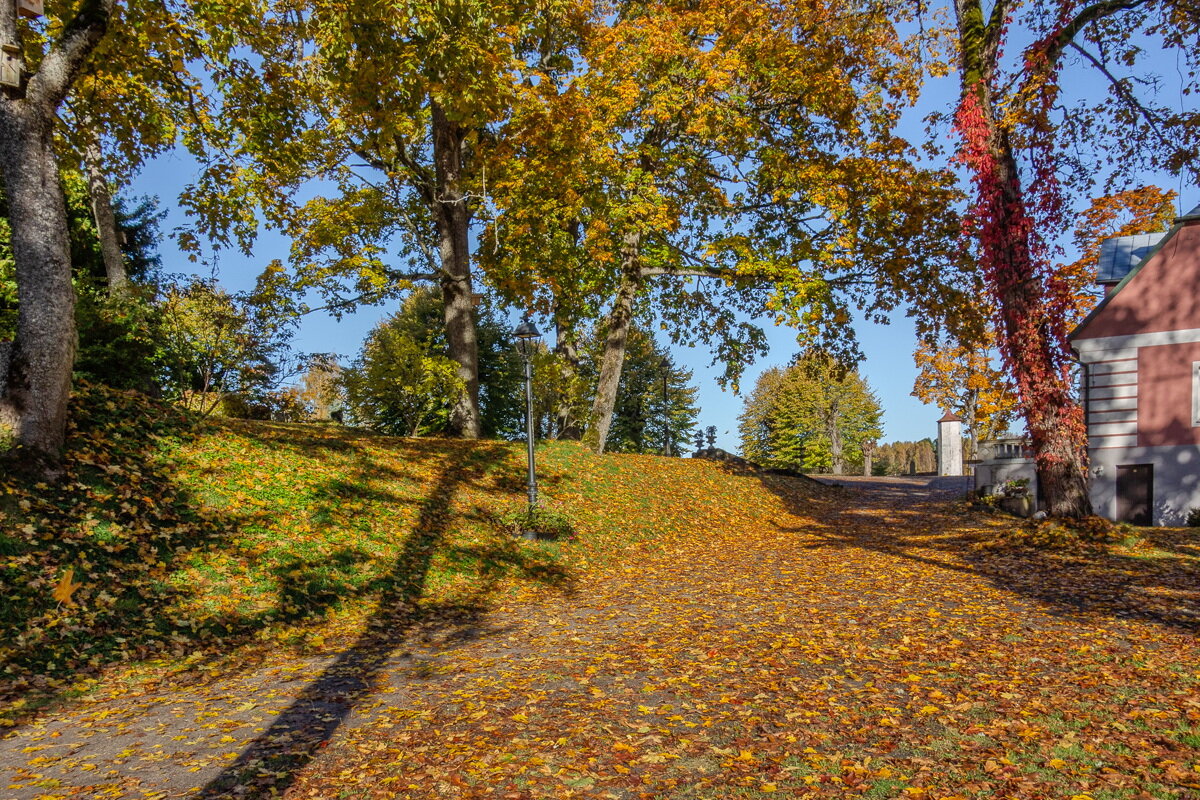 *** - Геннадий Порохов