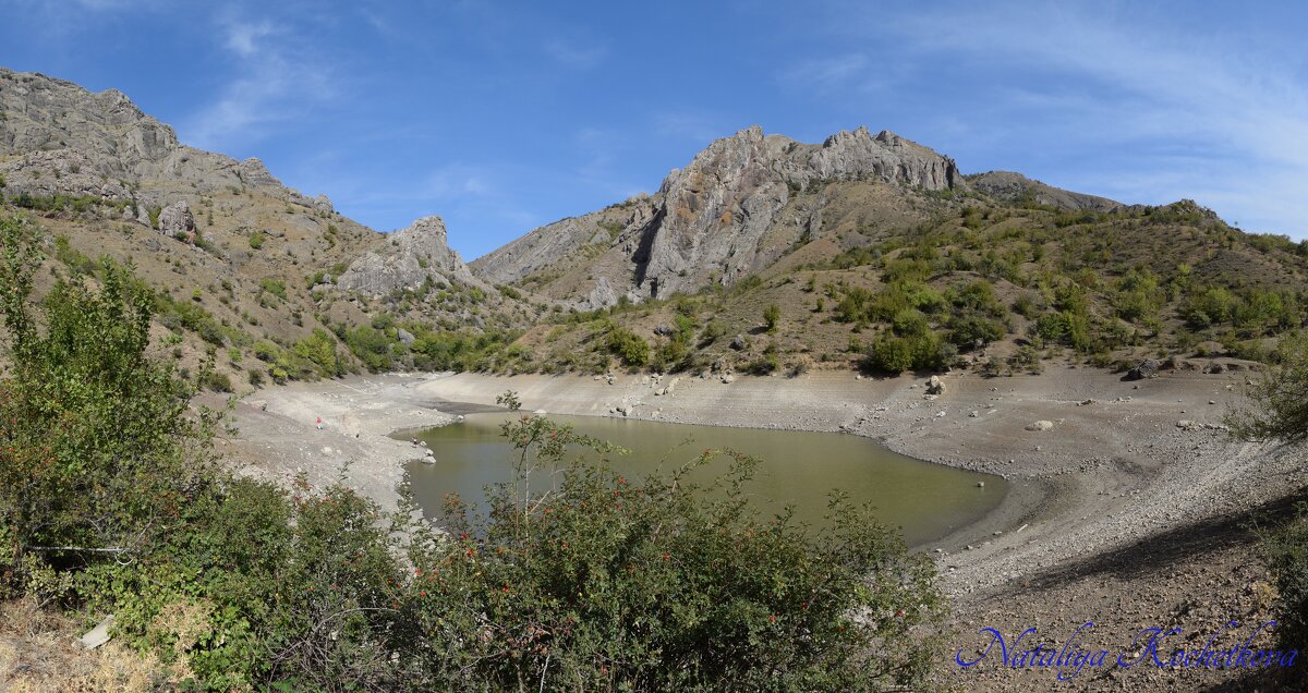 Природа Крыма - Amazing Cosmea