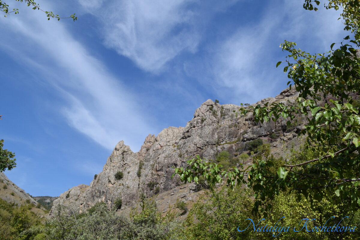Природа Крыма - Amazing Cosmea