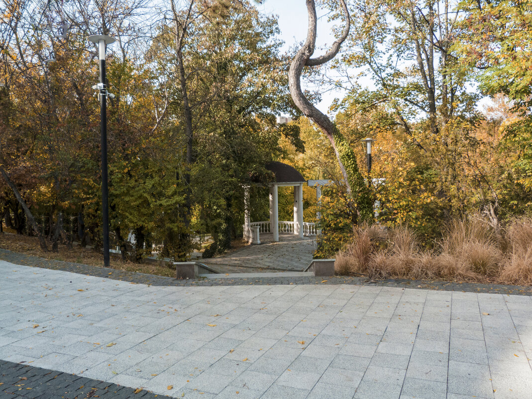 Ротонда в горсаду - Валентин Семчишин