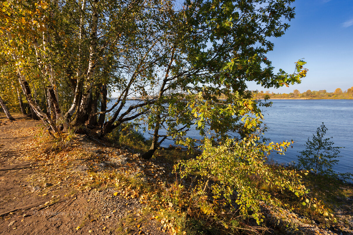 На берегу Волги - Александр Синдерёв