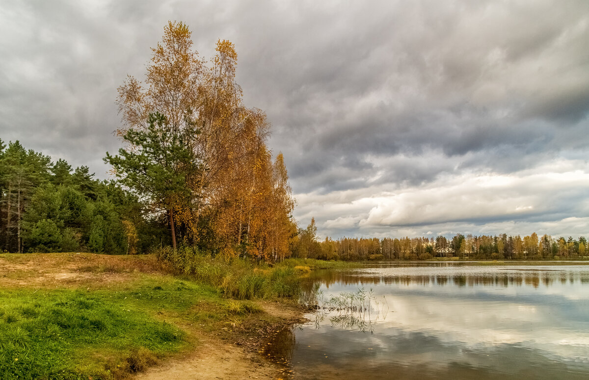 И снова Осень 8 - Андрей Дворников
