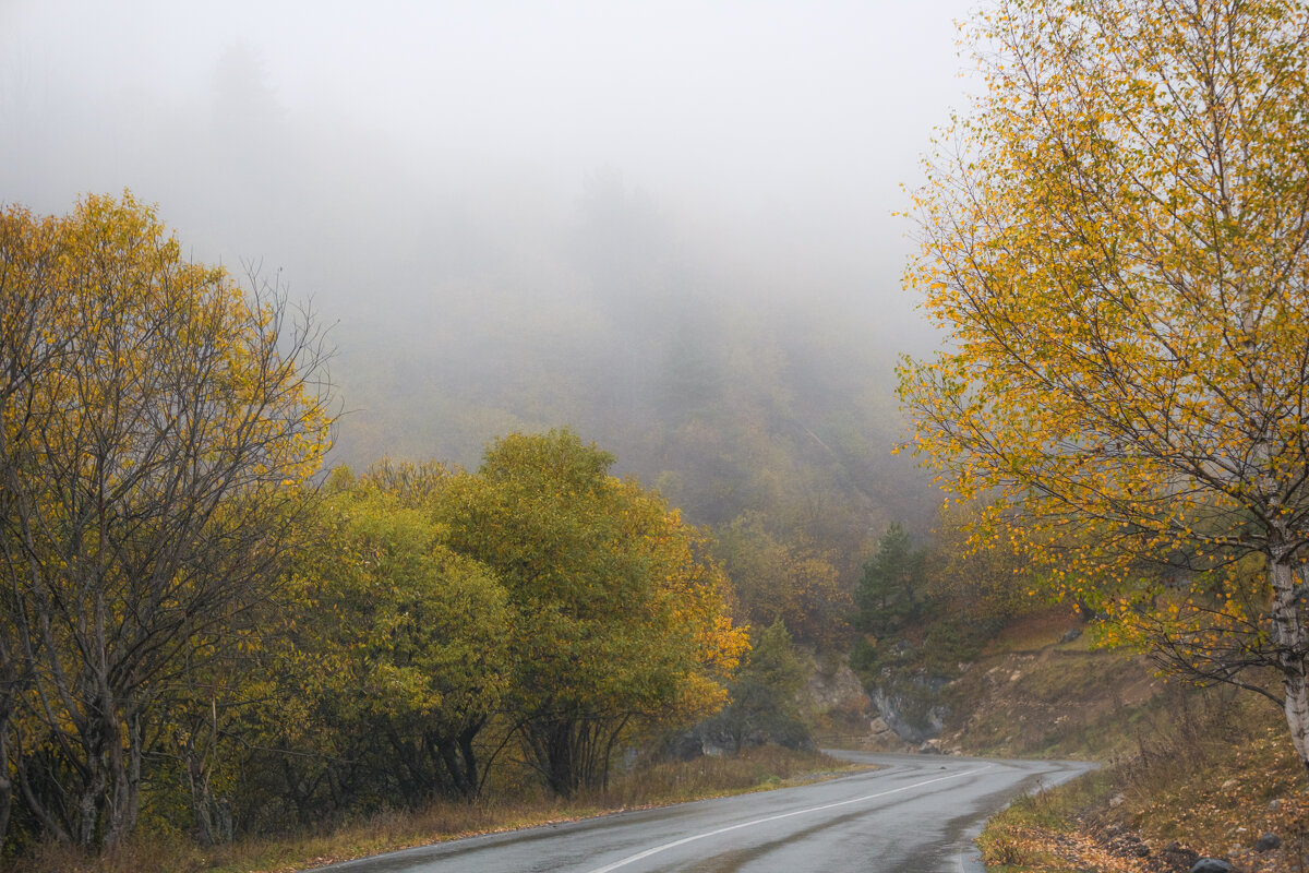 Туманный перевал Цей- Лоам - Сергей Сабешкин