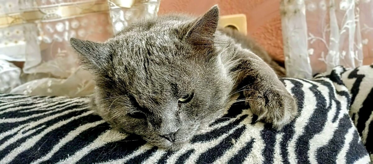 Филёк. - Михаил Столяров