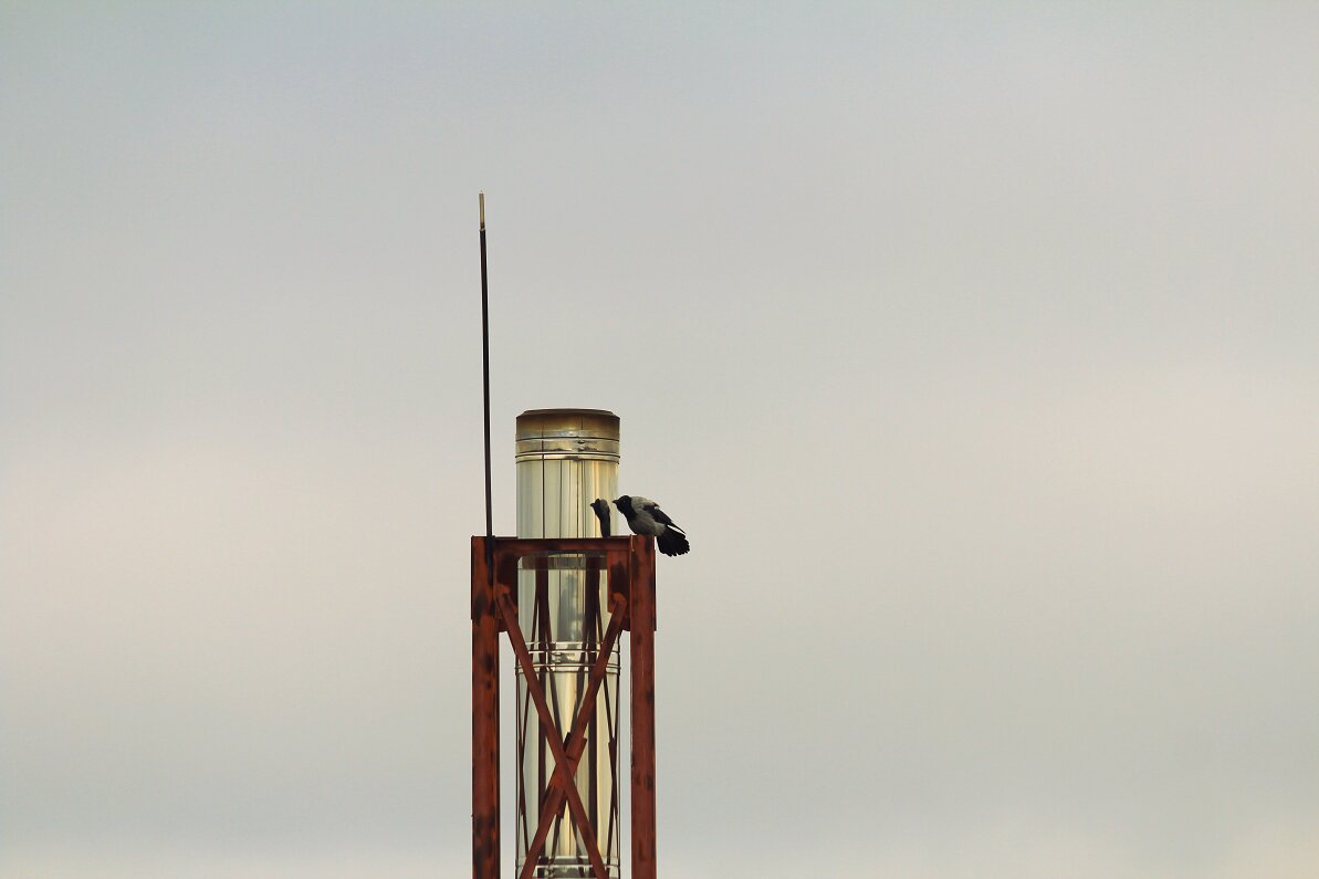 - Свет мой, зеркальце, скажи... - Елена Минина