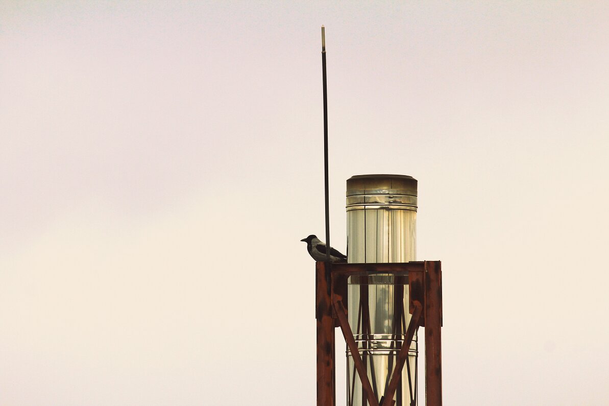 Ворона за окном - Елена Минина