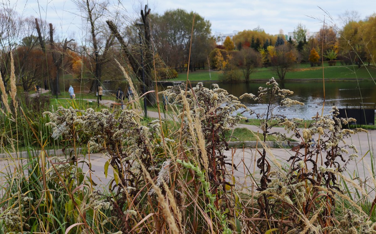 Осенний парк. - Василий Палий
