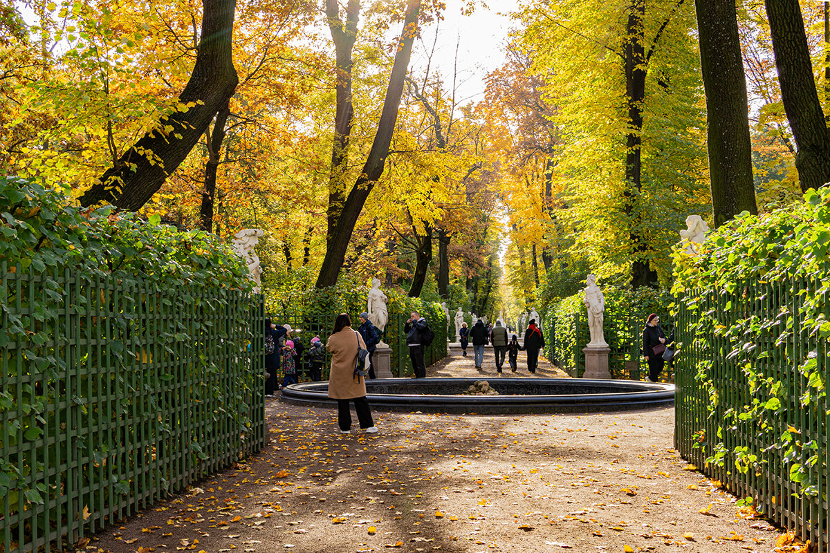 Осенний Летний сад - Ирина Соловьёва Осенний Летний сад - Ирина Соловьёва
