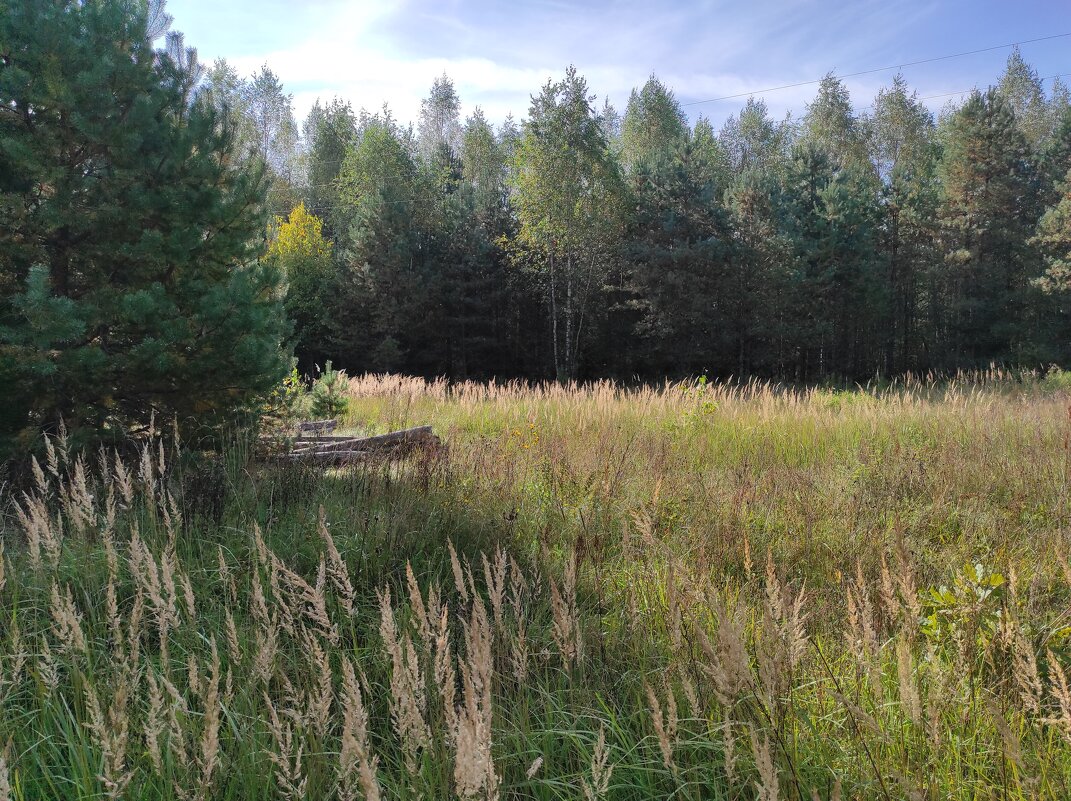 Здесь было паханное поле... - Игорь Ч.