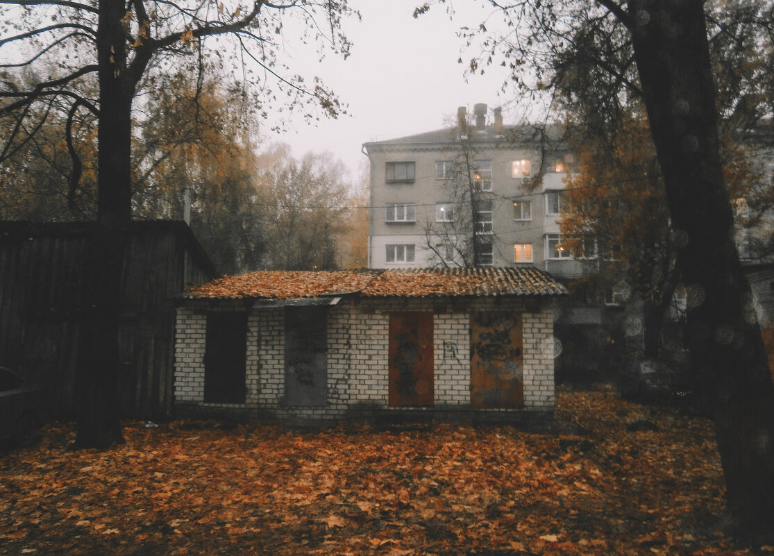 Осенние моменты на мыльницу Olympus - Sergei Vikulov