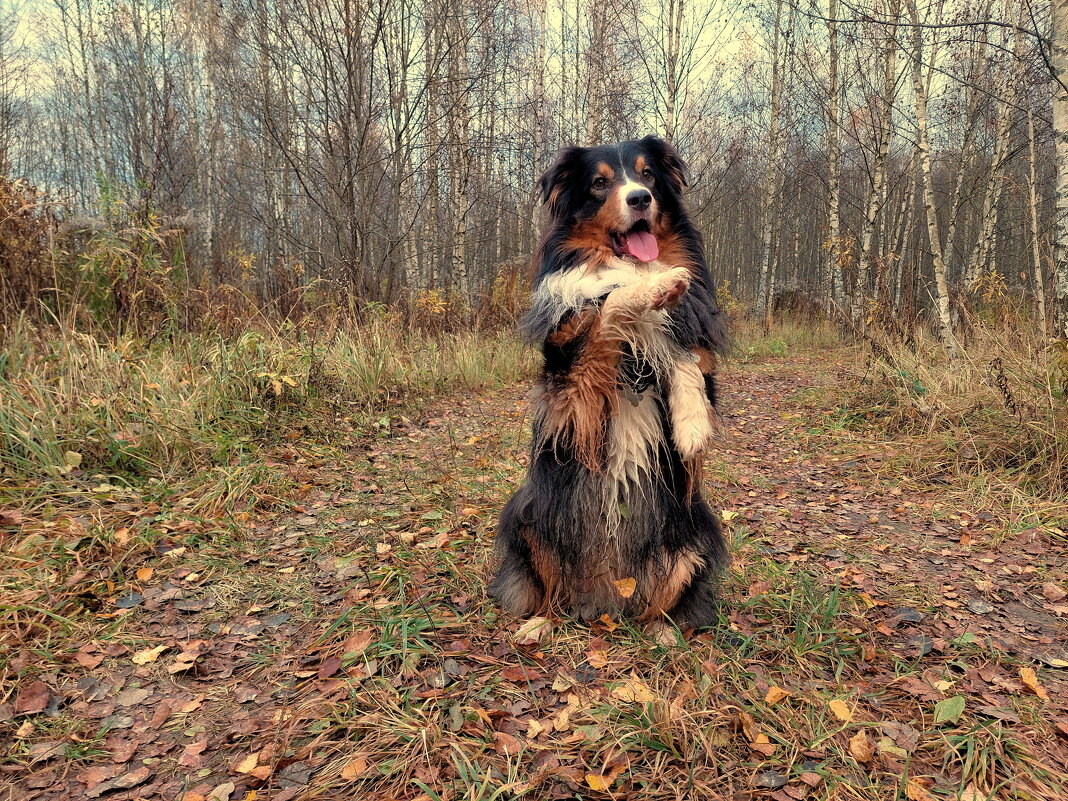 Зайку встретил я в лесу, вон, че творит за колбасу.. - Артём Зайку встретил я в лесу, вон, че творит за колбасу.. - Артём
