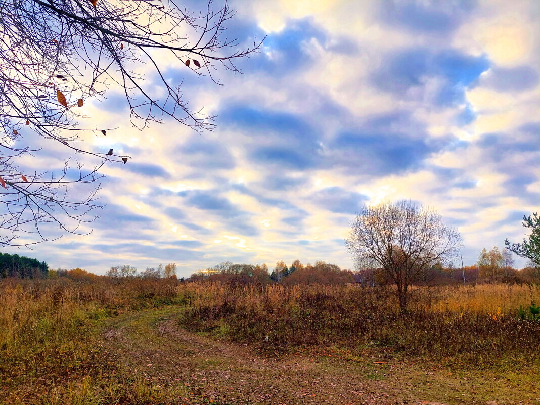 за городом - Артём 