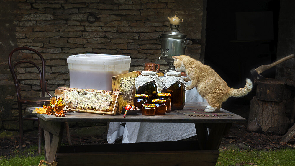 3D Кот Ест Мёд - Виталий 3D Кот Ест Мёд - Виталий