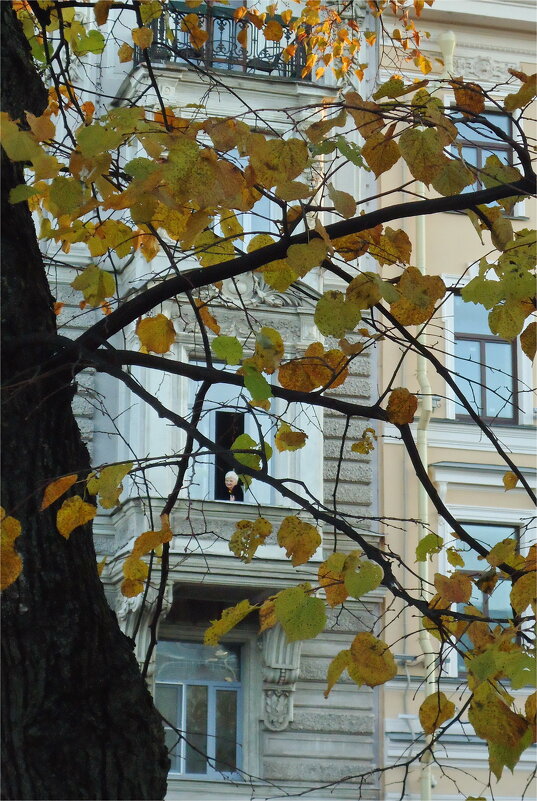 вечер одной старушки - sv.kaschuk 