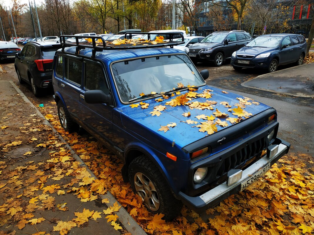 Приметы октября - Андрей Лукьянов