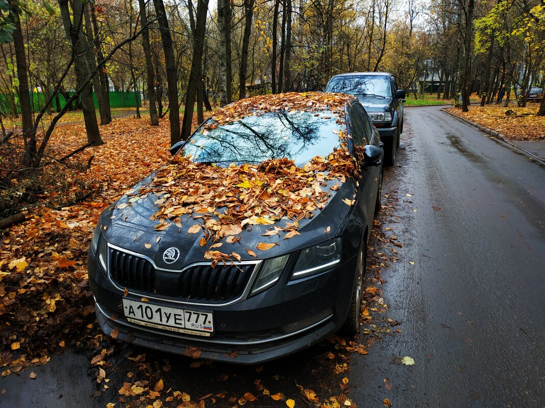 Приметы октября - Андрей Лукьянов