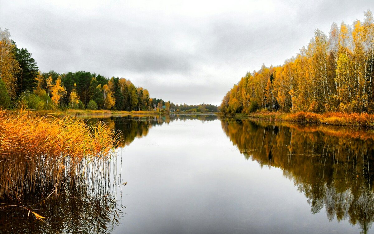 Золотая осень на озере (репортаж из поездок по области). - Милешкин Владимир Алексеевич Золотая осень на озере (репортаж из поездок по области). - Милешкин Владимир Алексеевич