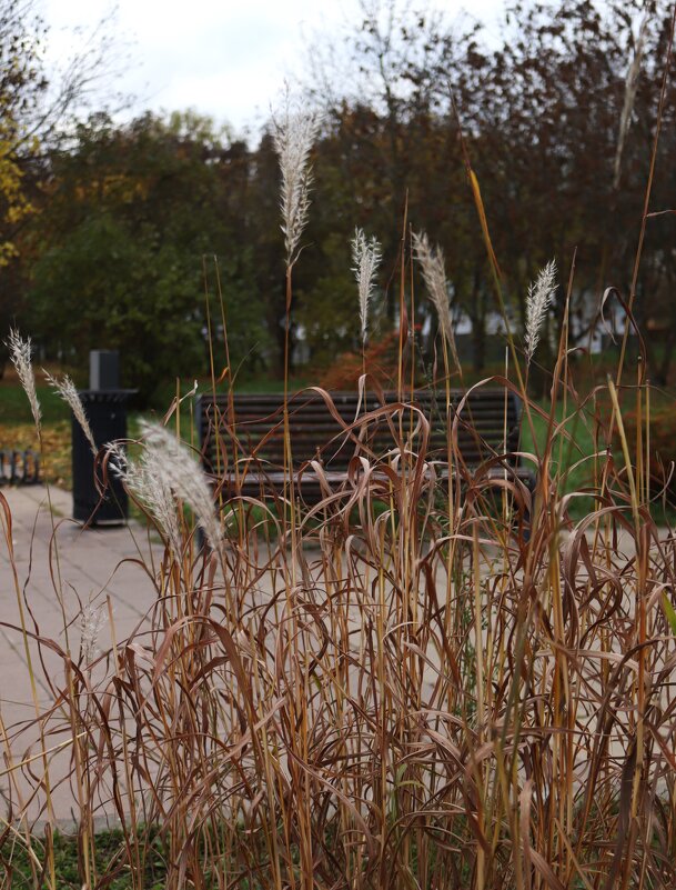 Последние дни октября. - Василий Палий