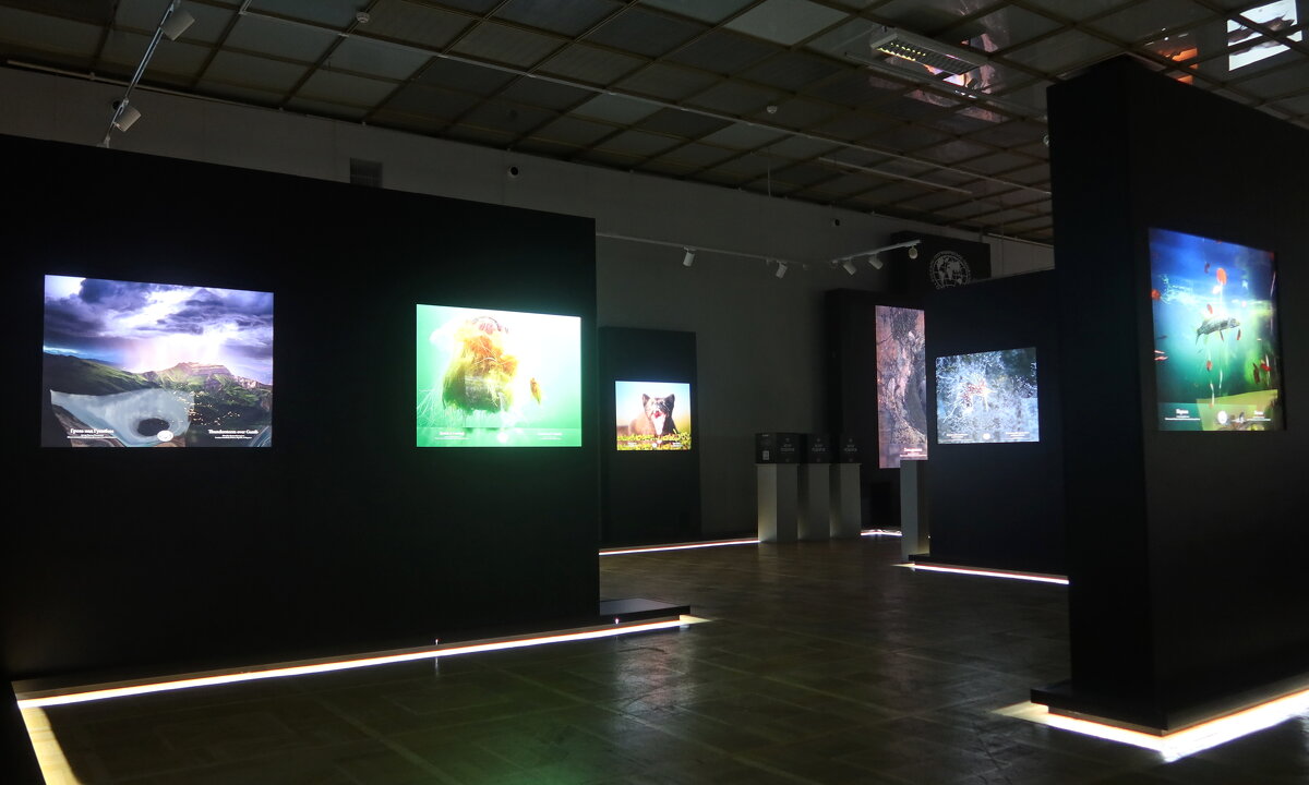 На фотовыставке - Дмитрий И_