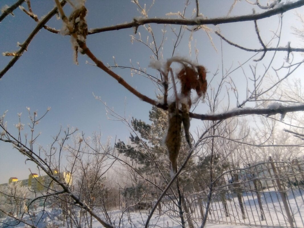 Осень - Георгиевич 