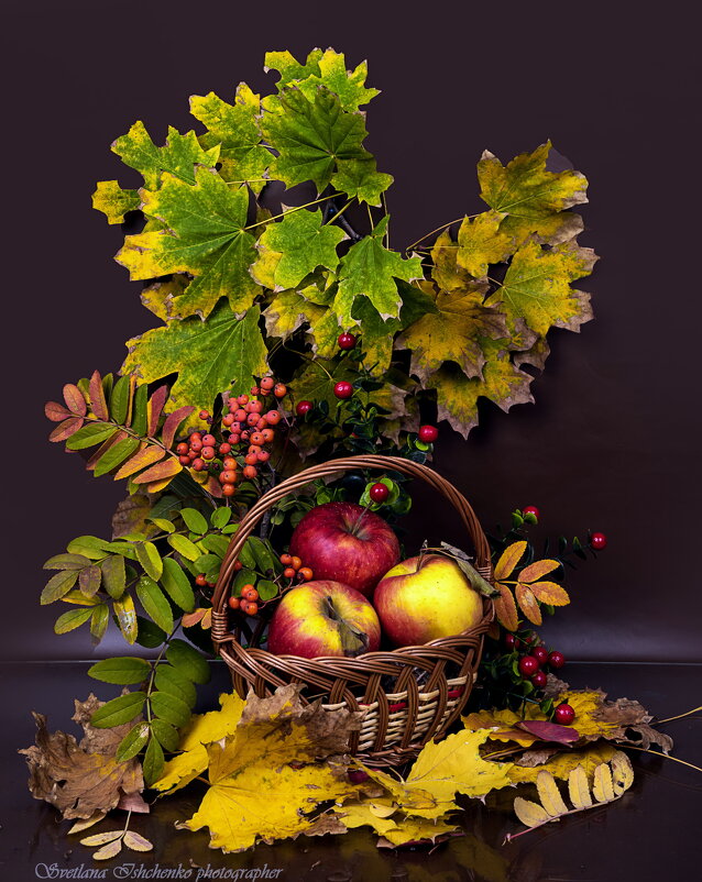 ... - Светлана Ищенко