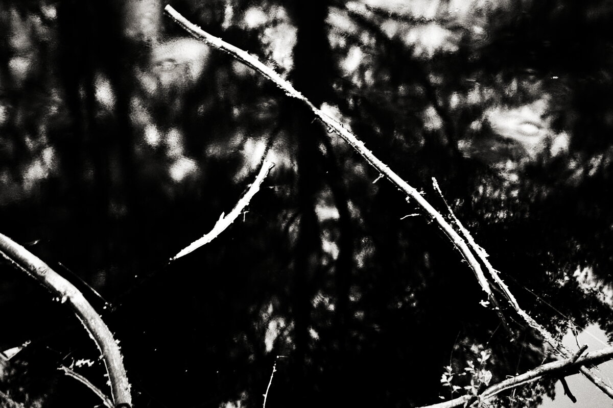 Фотография - Денис Безногов Фотография - Денис Безногов