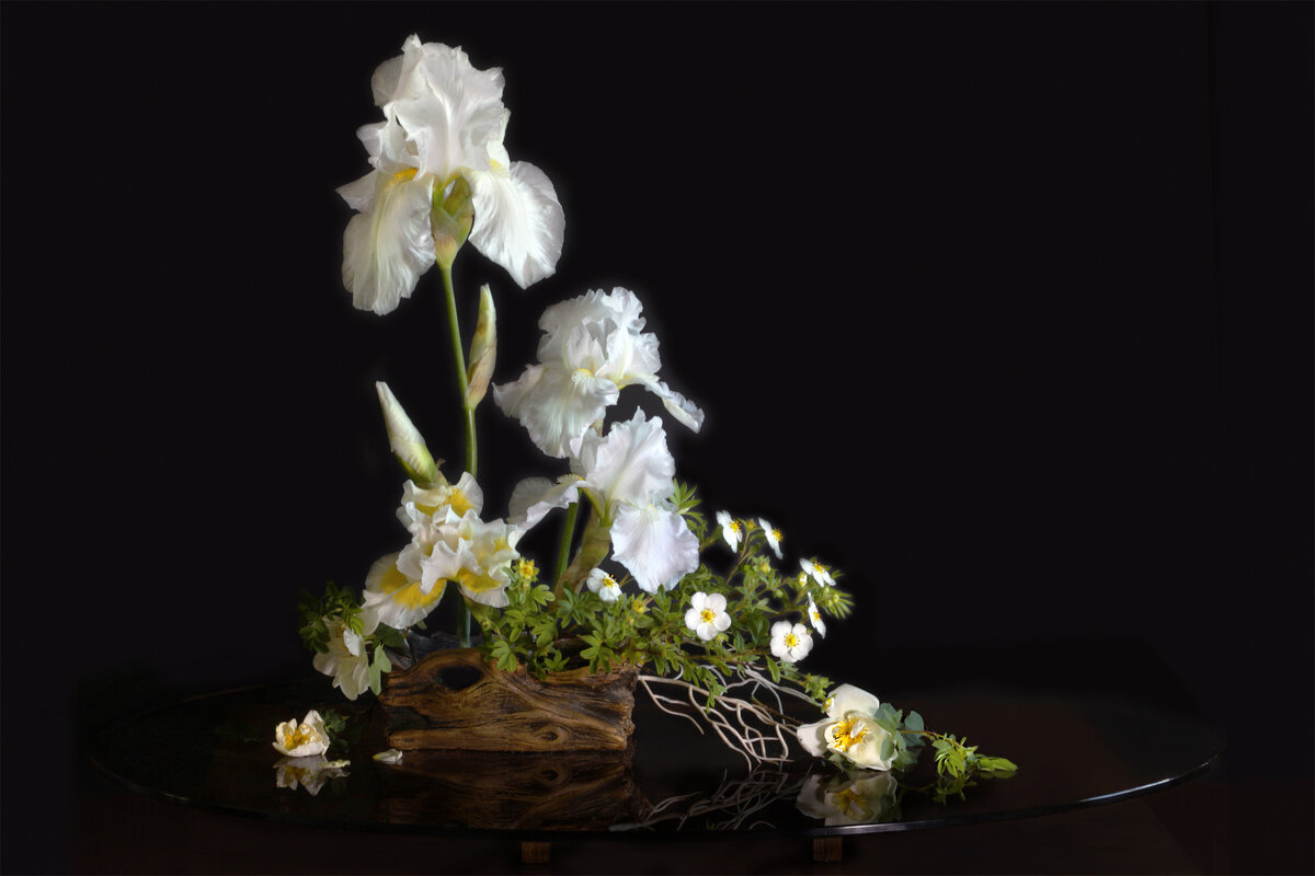 Белые цветы - Olenka 