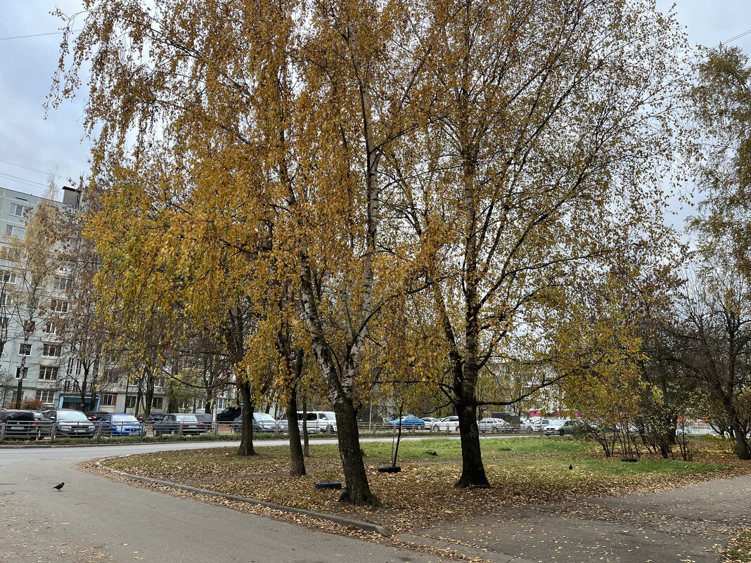 В городе - Осень... - Olga Oskolkova