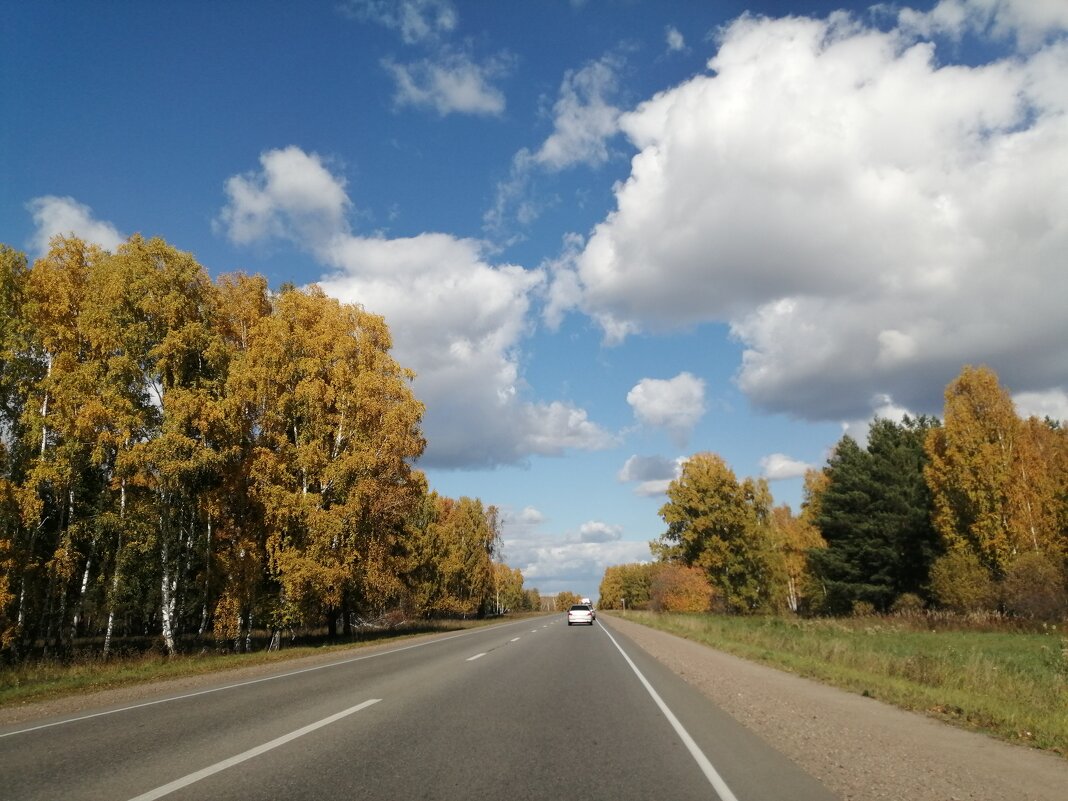 дорога в осенний день - Ольга Гомзина