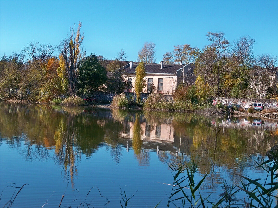 Осень  золотая - Валентин Семчишин