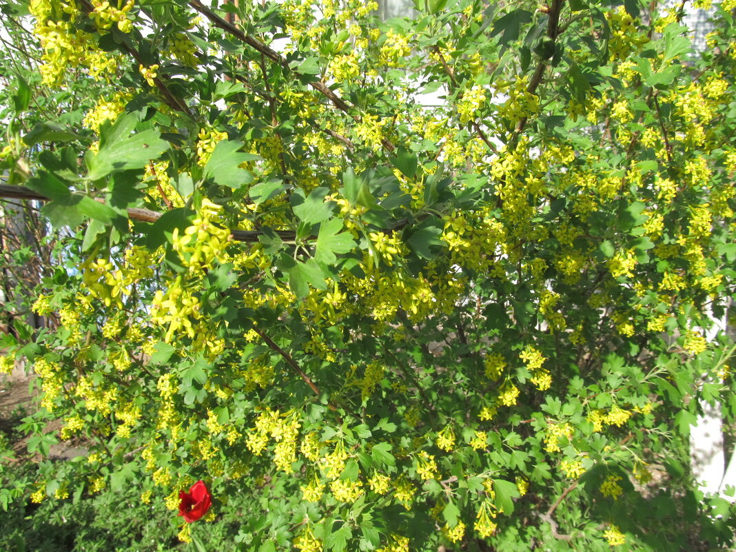 был апрель - Елена Шаламова