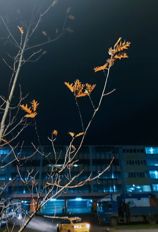 Осень. - Владимир Безбородов